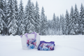 Frozen - Winter Landscape